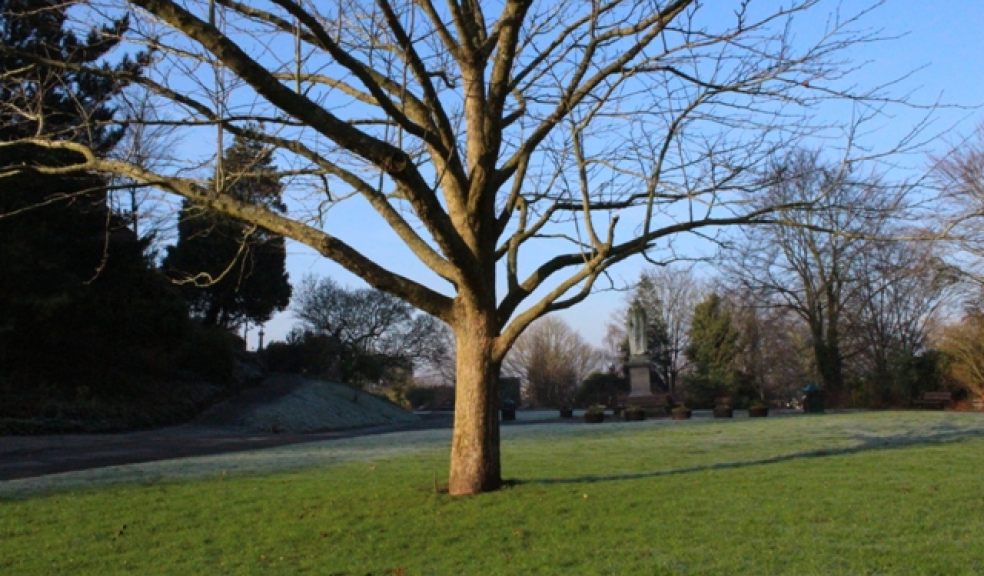 Technology pinpoints trees in Exeter The Exeter Daily